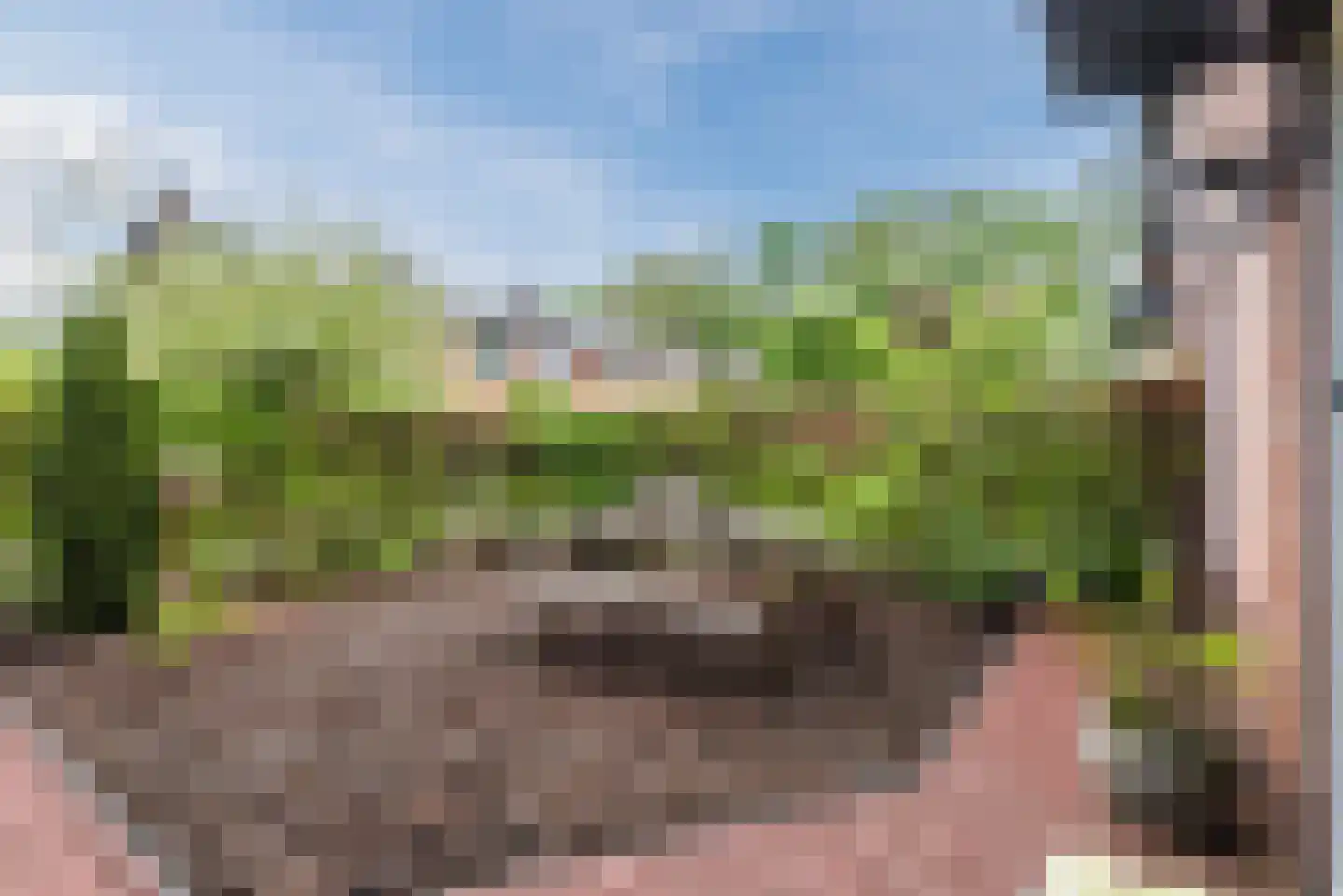 Cronjéstraat 23 Ermelo foto 2