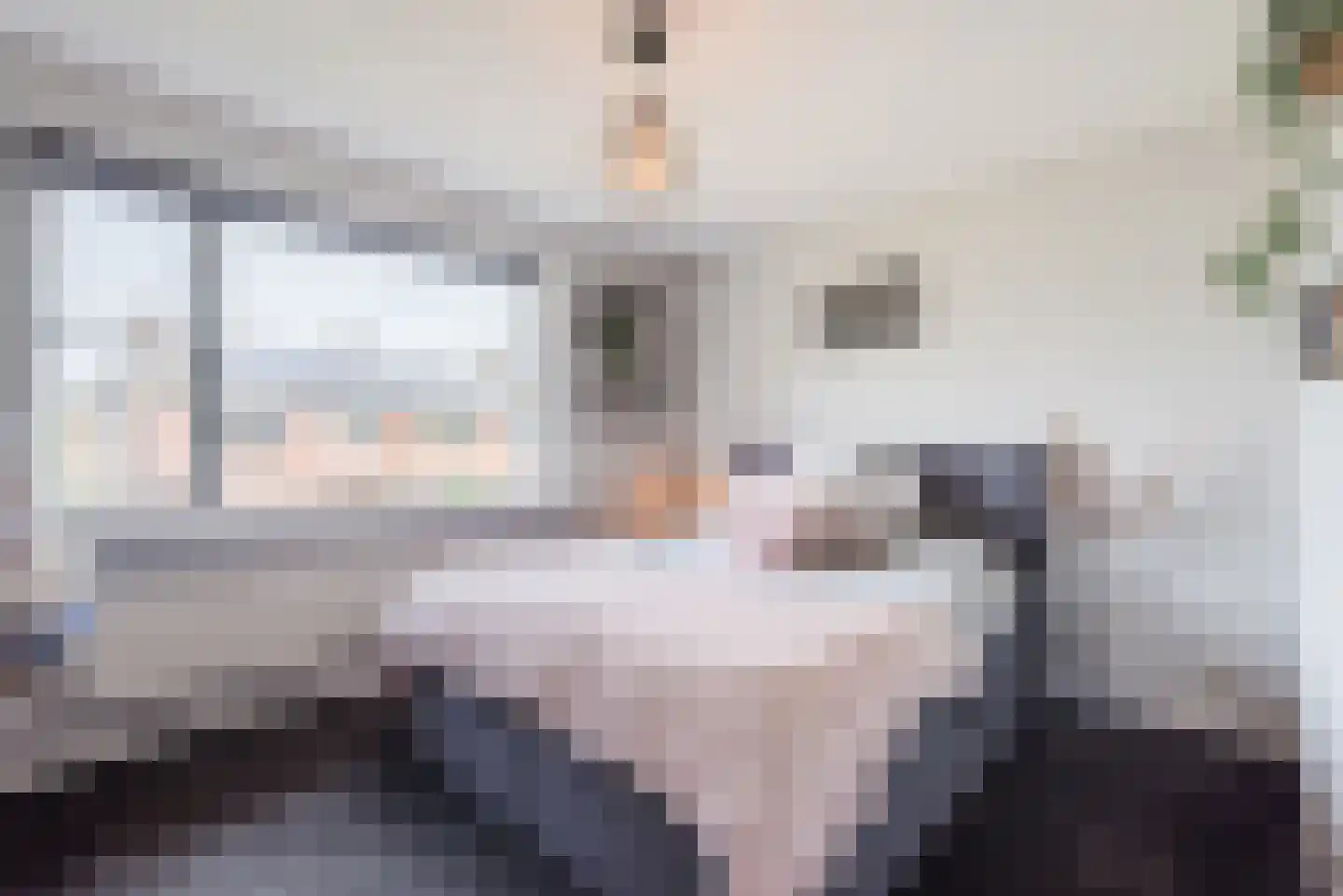 Cronjéstraat 23 Ermelo thumbnail 21