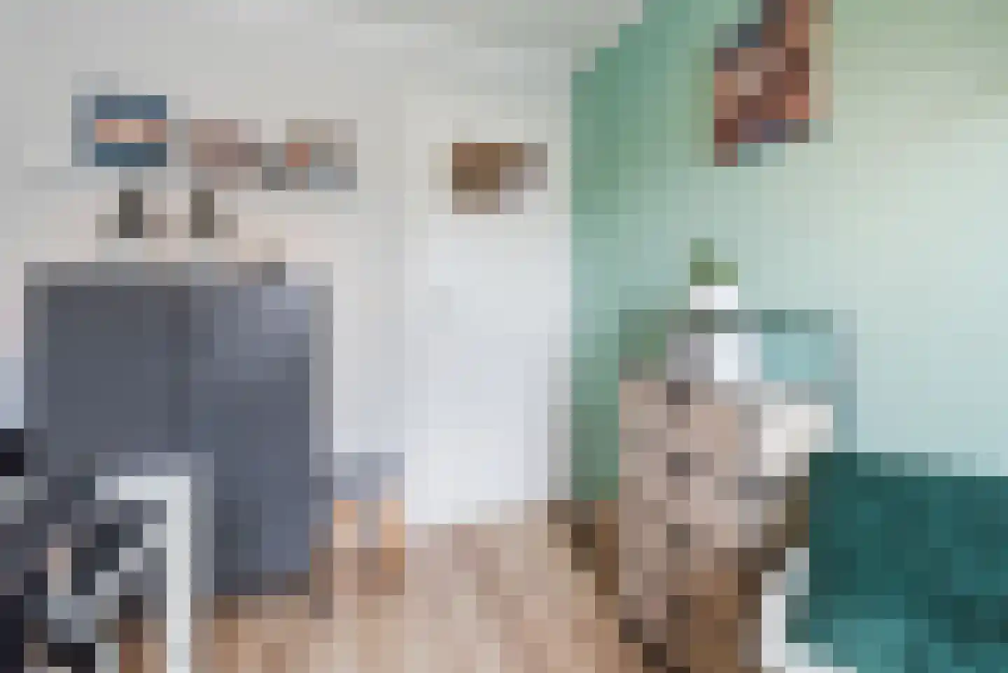 Cronjéstraat 23 Ermelo thumbnail 26