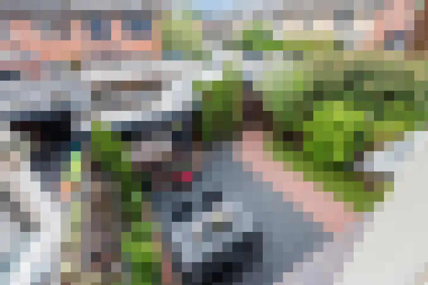 Cronjéstraat 23 Ermelo thumbnail 29