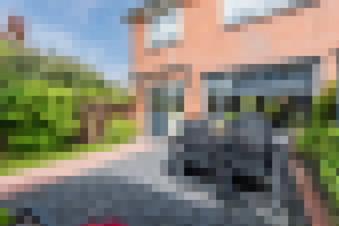 Cronjéstraat 23 Ermelo thumbnail 34