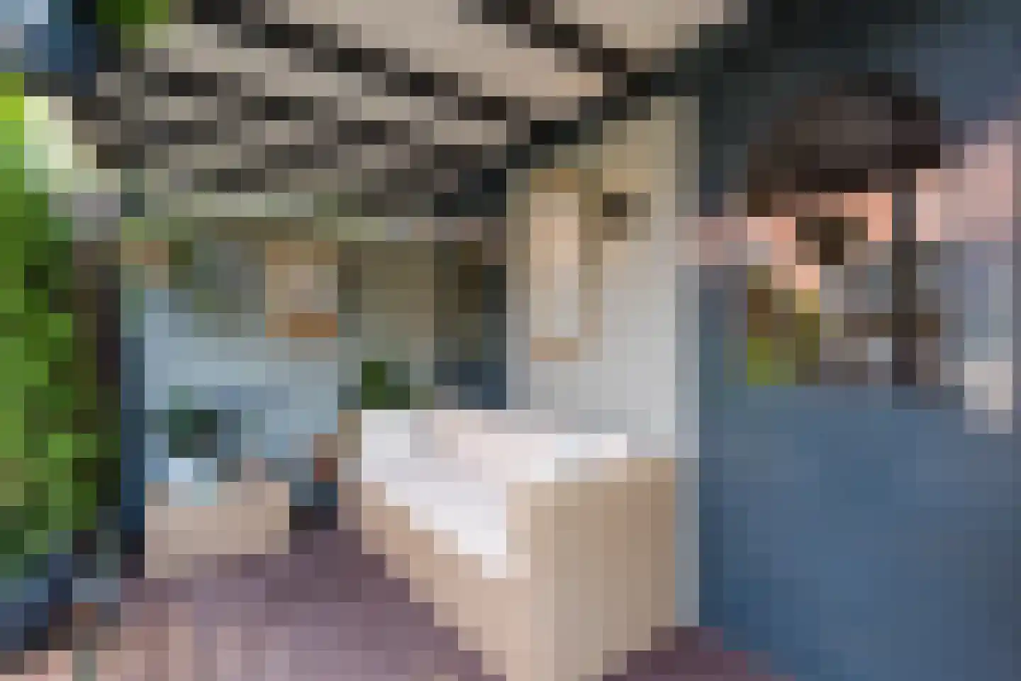 Cronjéstraat 23 Ermelo thumbnail 35