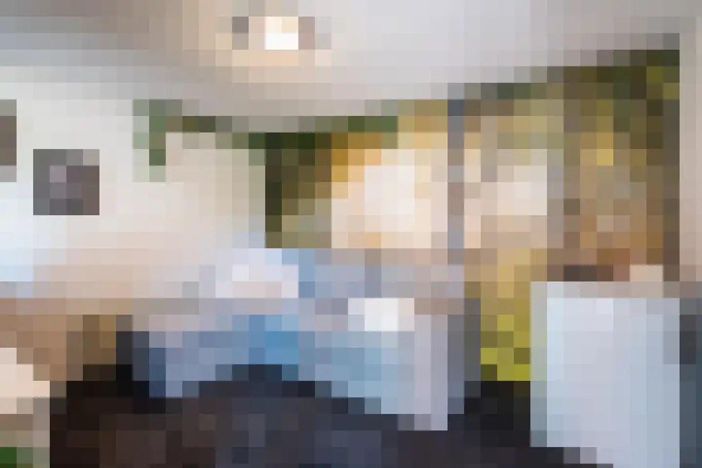 Cronjéstraat 23 Ermelo thumbnail 37
