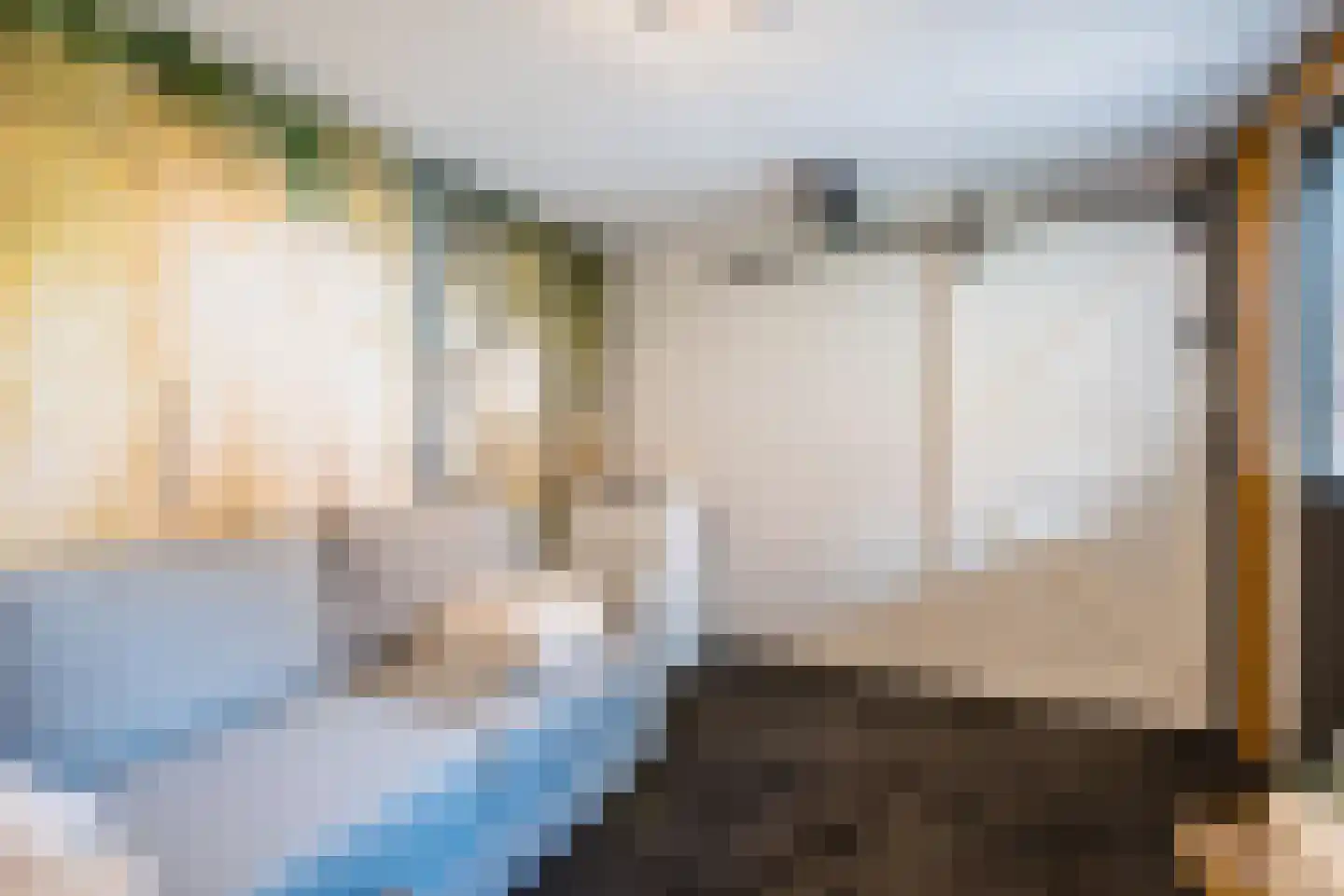 Cronjéstraat 23 Ermelo thumbnail 38