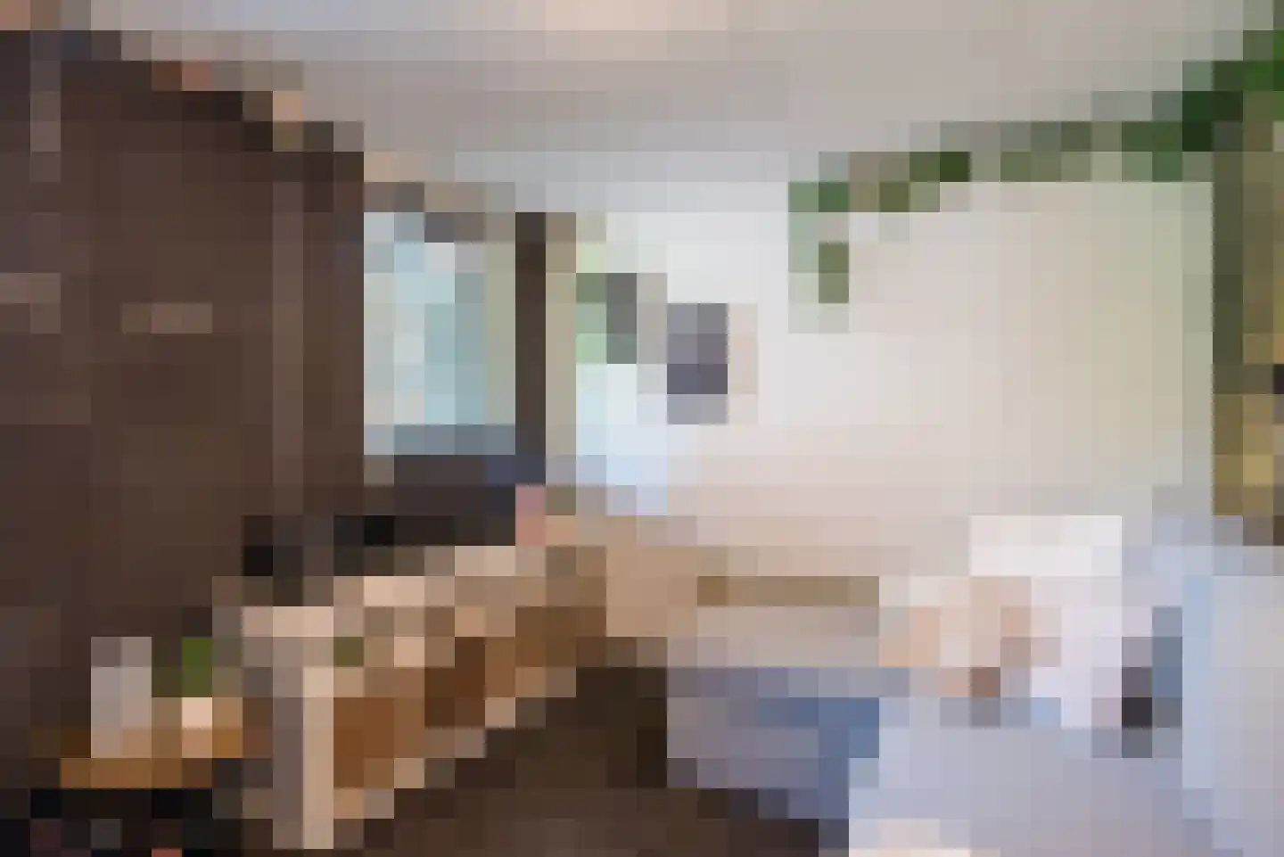 Cronjéstraat 23 Ermelo thumbnail 39