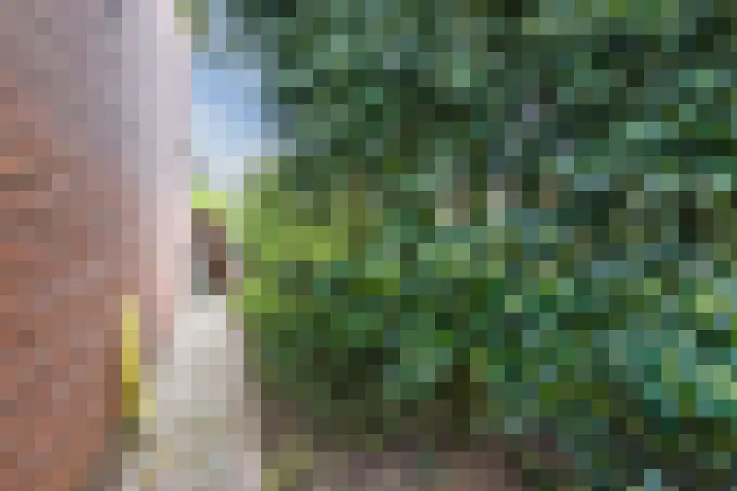 Cronjéstraat 23 Ermelo thumbnail 42
