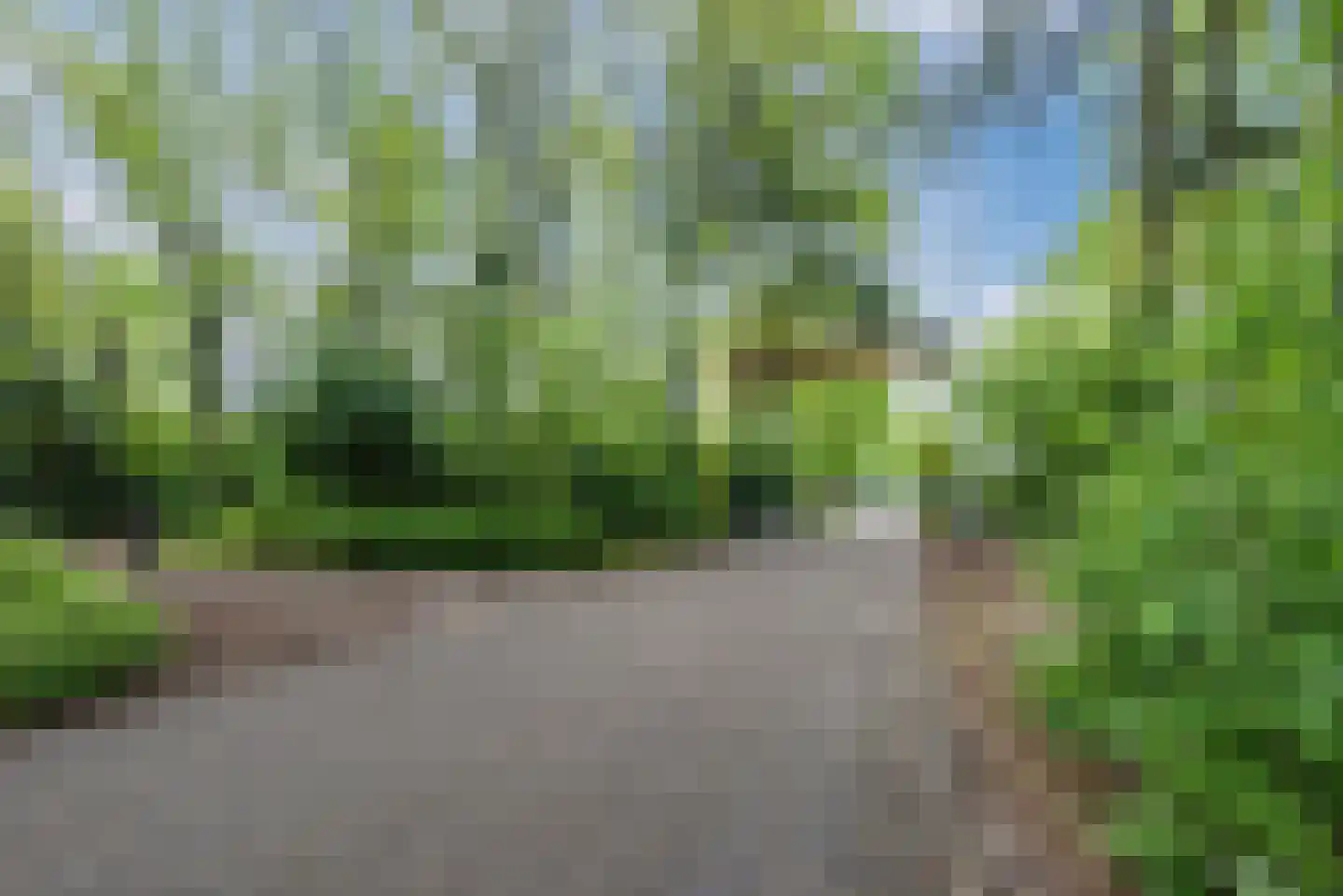 Cronjéstraat 23 Ermelo thumbnail 46
