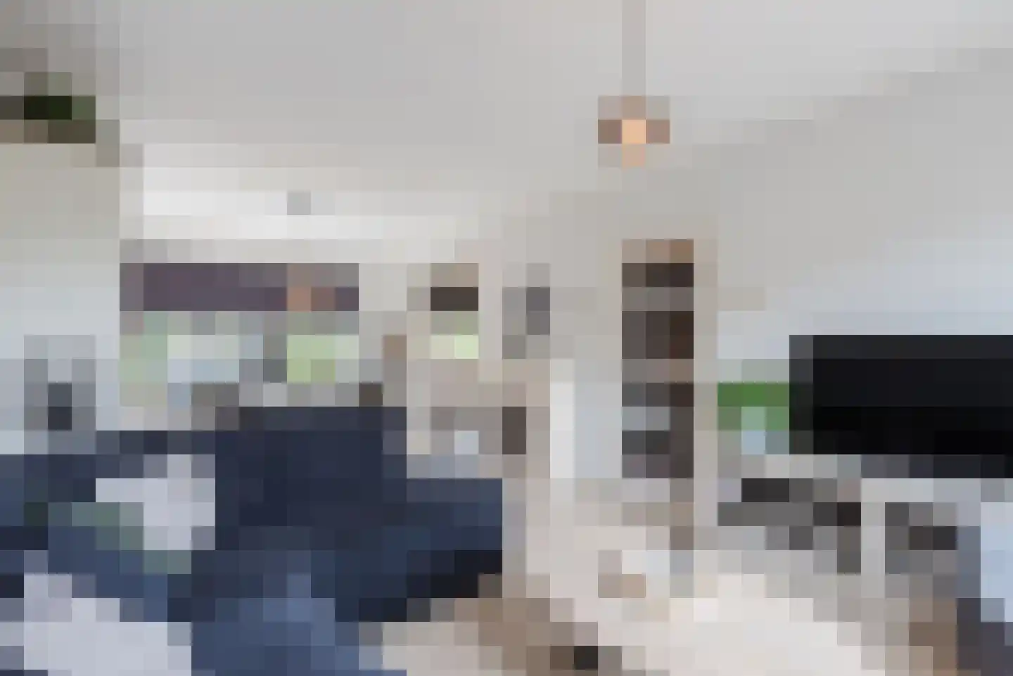 Cronjéstraat 23 Ermelo thumbnail 9