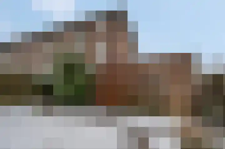 Cronjéstraat 28 Nijmegen thumbnail 23