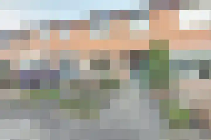 Cronjéstraat 29 Ermelo thumbnail 5