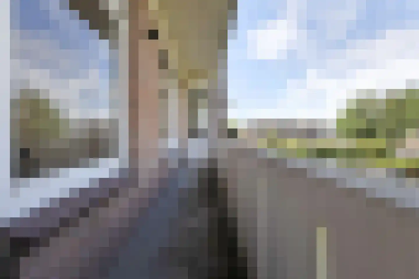 Cronjéstraat 3 A Breda thumbnail 32