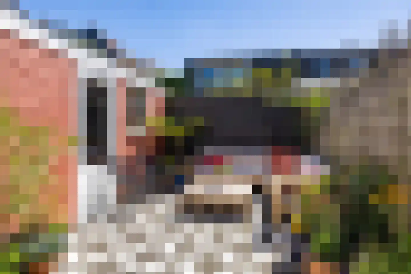 Cronjéstraat 3 Leeuwarden thumbnail 5