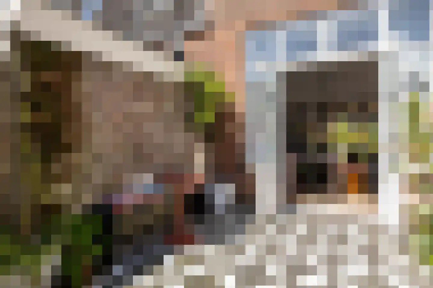 Cronjéstraat 3 Leeuwarden thumbnail 51