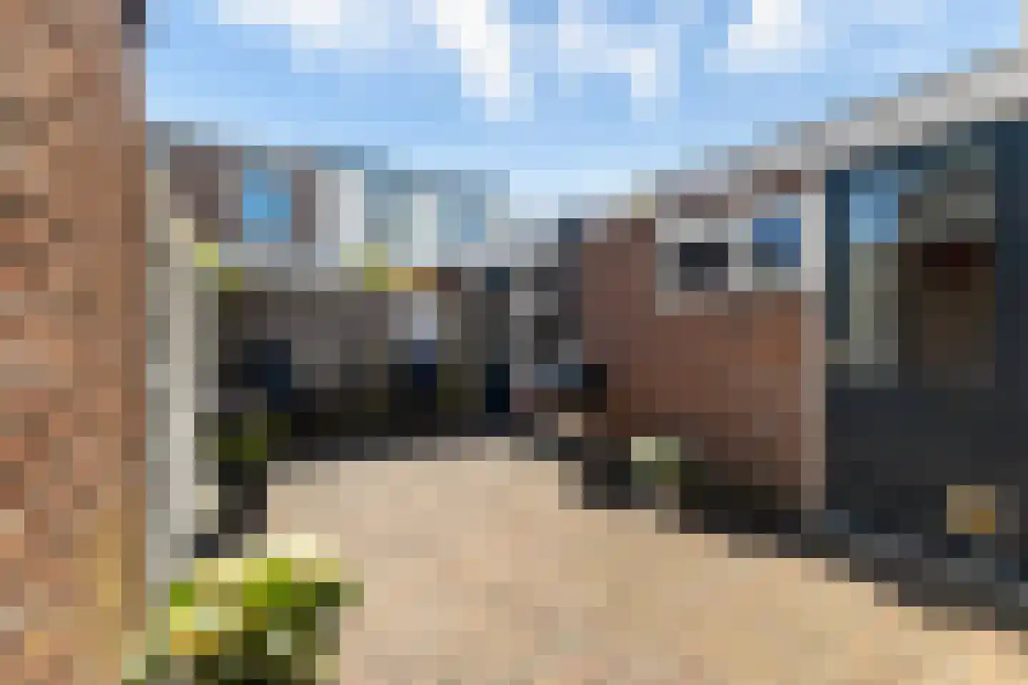 Cronjéstraat 31 Leeuwarden thumbnail 26