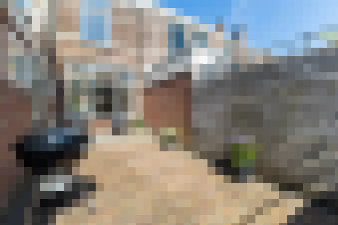 Cronjéstraat 31 Leeuwarden thumbnail 30