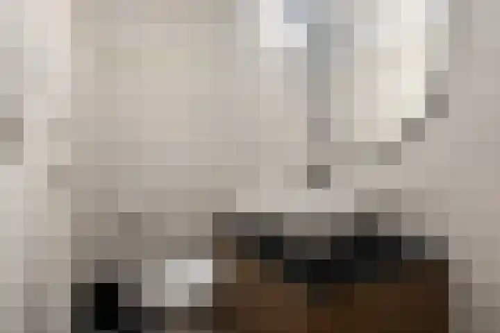 Cronjéstraat 36 Den Helder thumbnail 11
