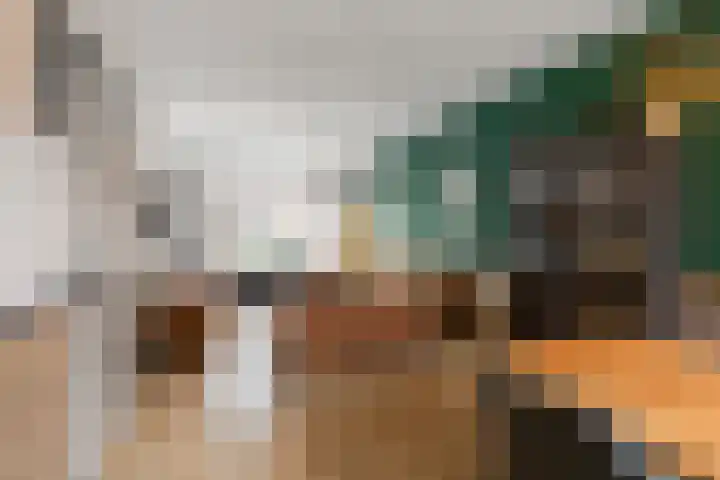 Cronjéstraat 36 Den Helder thumbnail 4