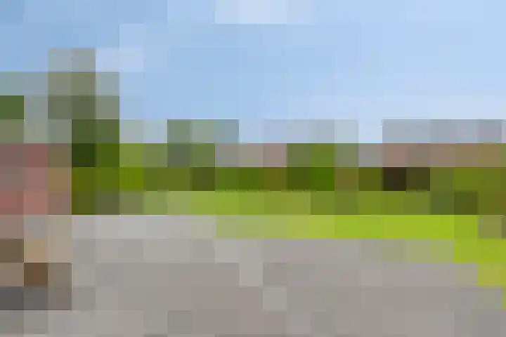 Cronjéstraat 4 Warffum thumbnail 33