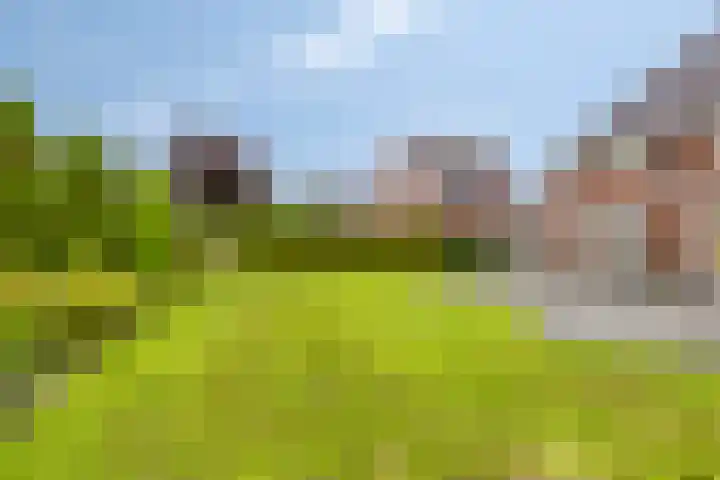 Cronjéstraat 4 Warffum thumbnail 34
