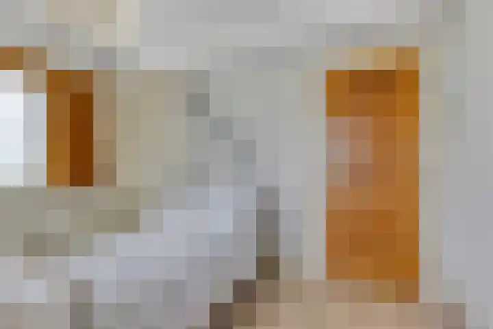 Cronjéstraat 4 Warffum thumbnail 6
