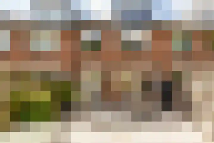 Cronjéstraat 61 A Ermelo thumbnail 34