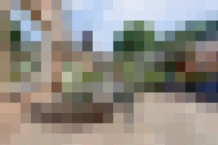 Cronjéstraat 63 Ermelo thumbnail 31