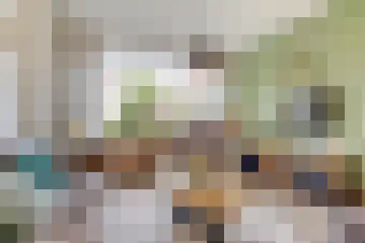Cronjéstraat 63 Ermelo thumbnail 7