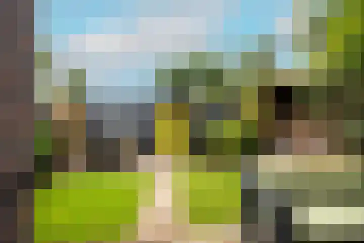 Cronjéstraat 95 Nijmegen thumbnail 29