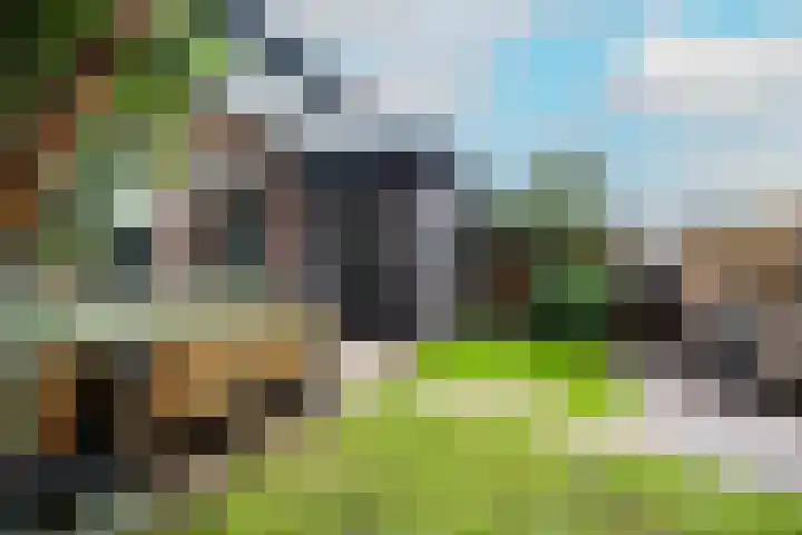 Cronjéstraat 95 Nijmegen thumbnail 31