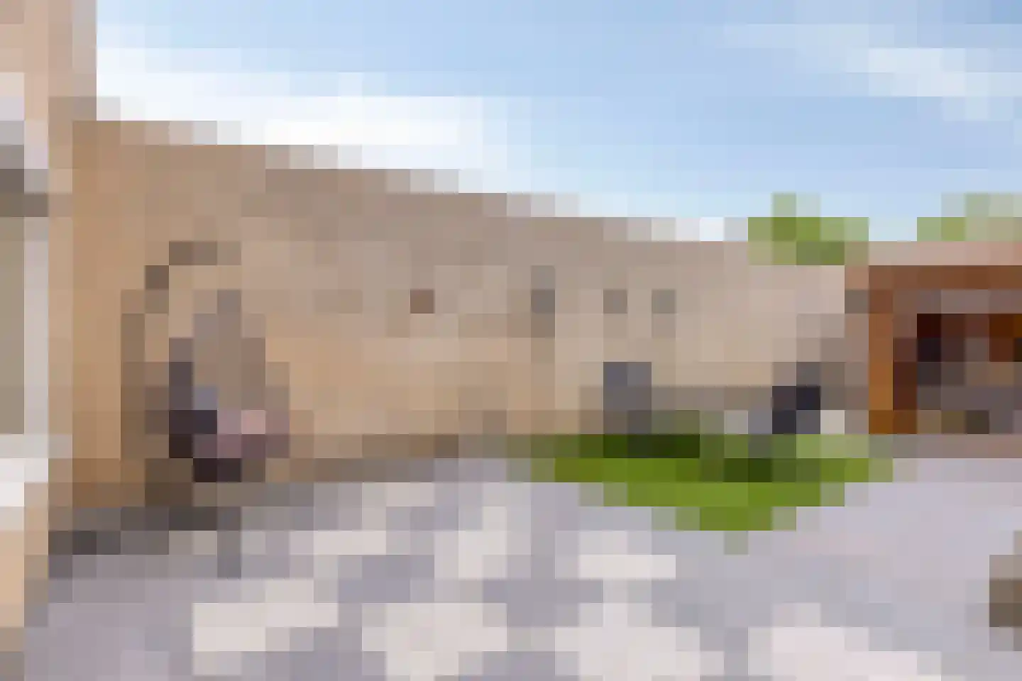 Croocklaan 3 Maarssen thumbnail 24
