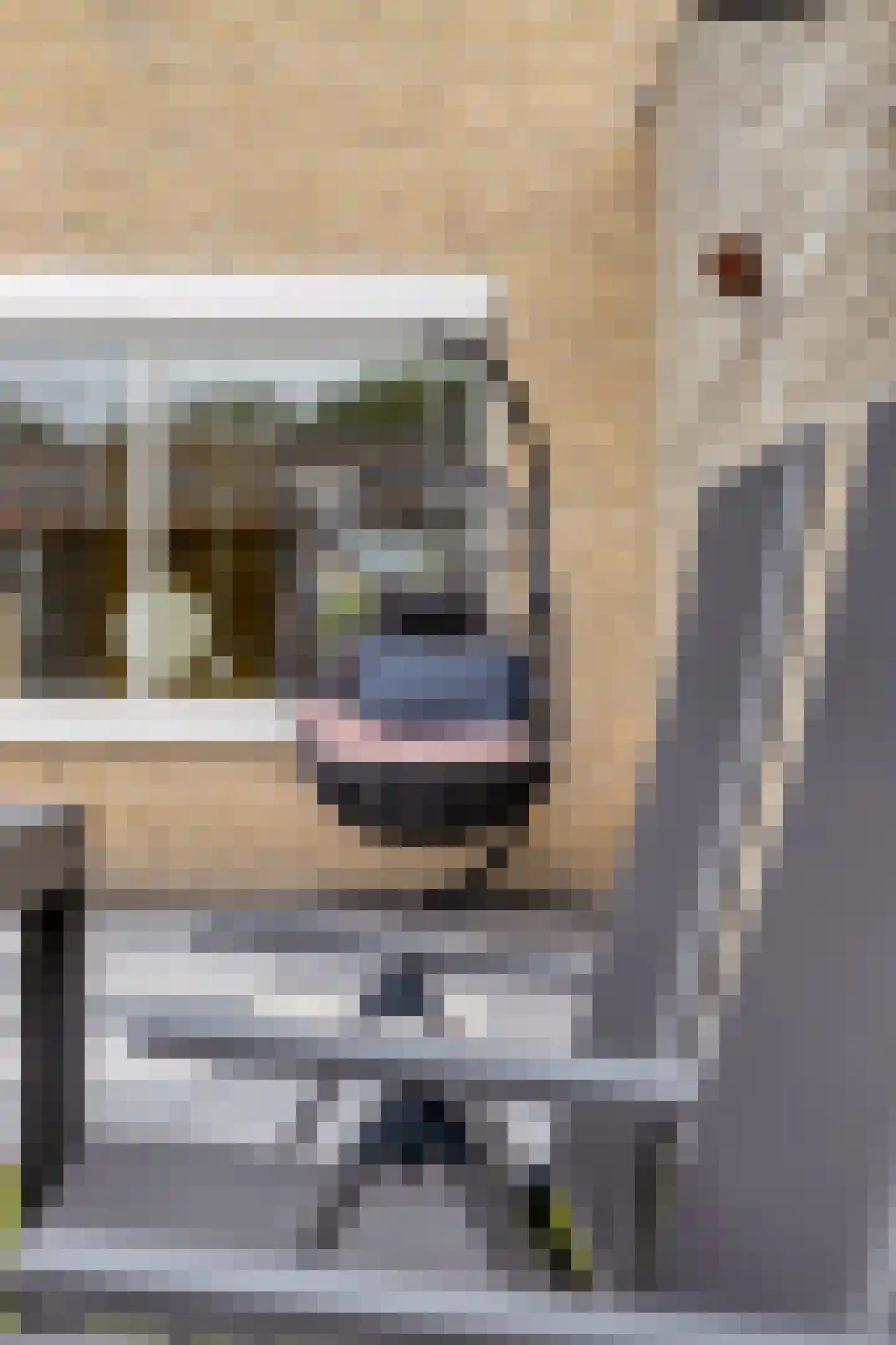 Croocklaan 3 Maarssen thumbnail 25