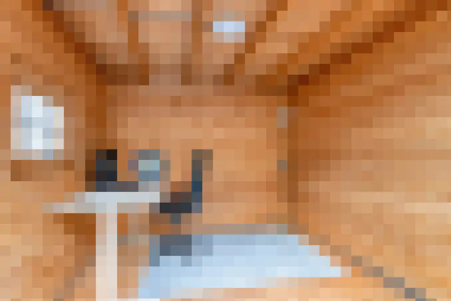 Croocklaan 3 Maarssen thumbnail 28