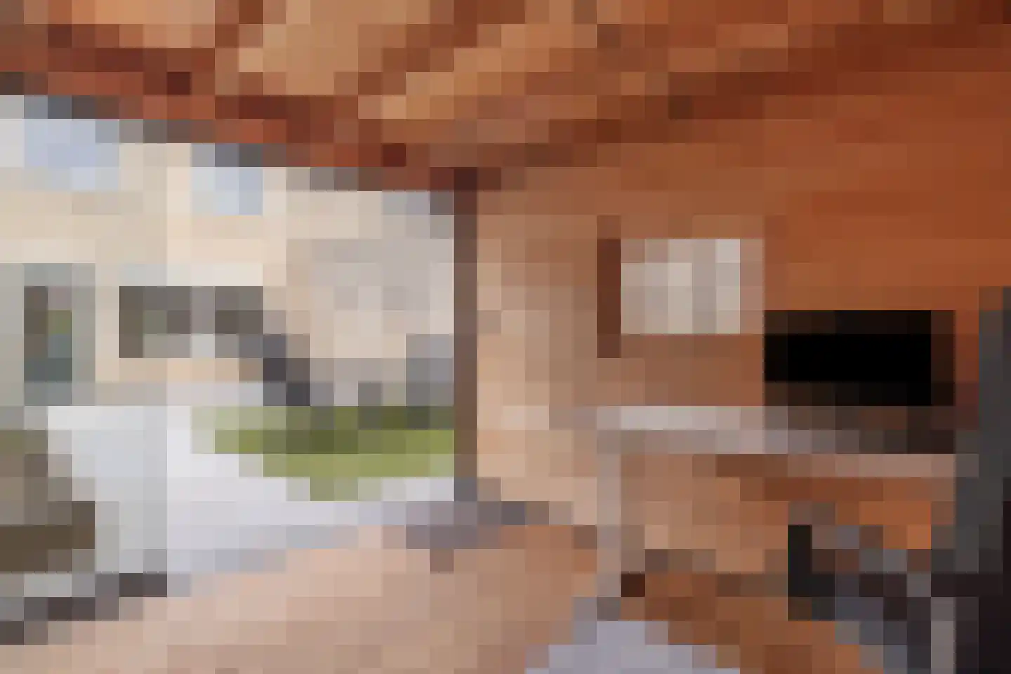 Croocklaan 3 Maarssen thumbnail 29