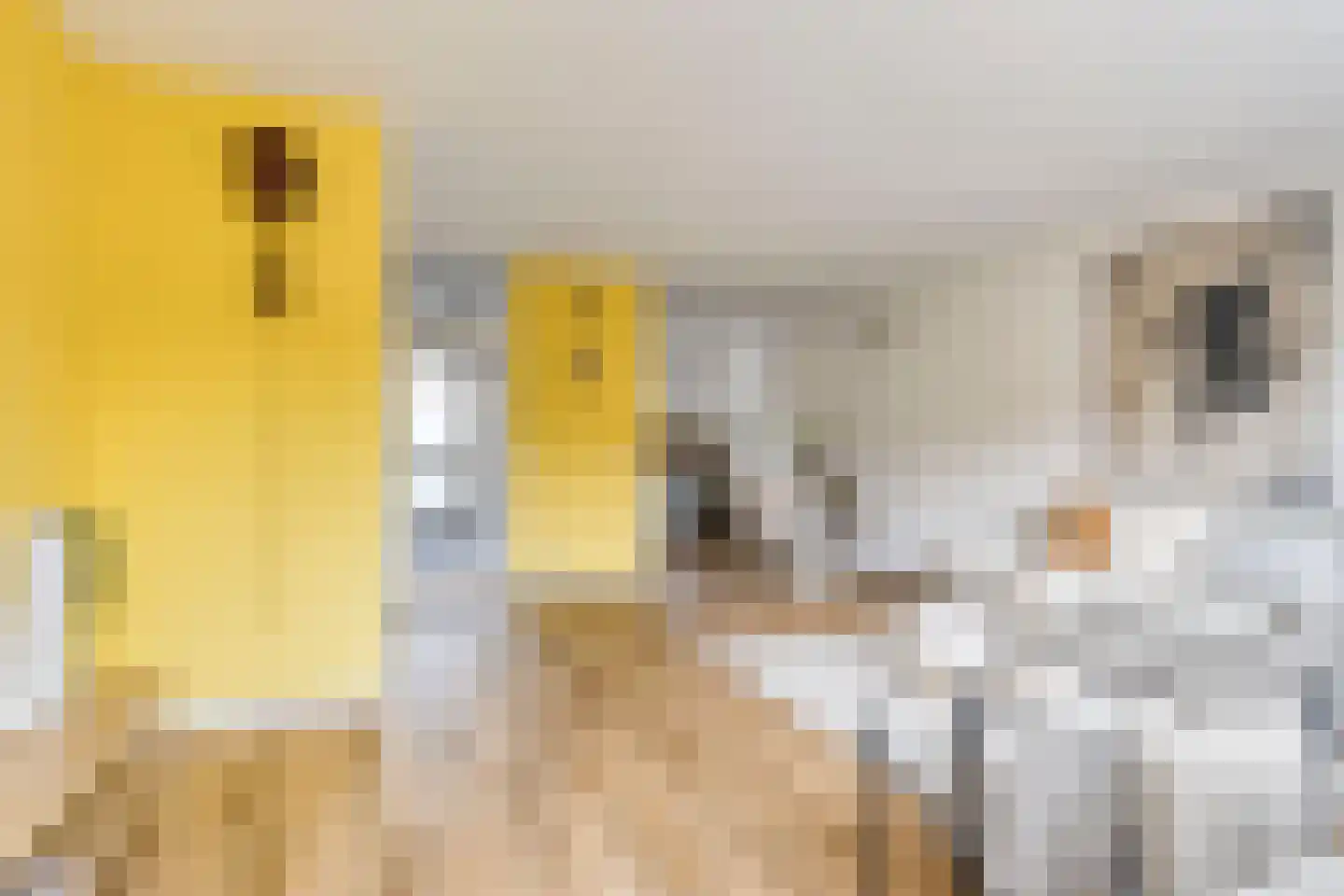 Croocklaan 3 Maarssen thumbnail 8