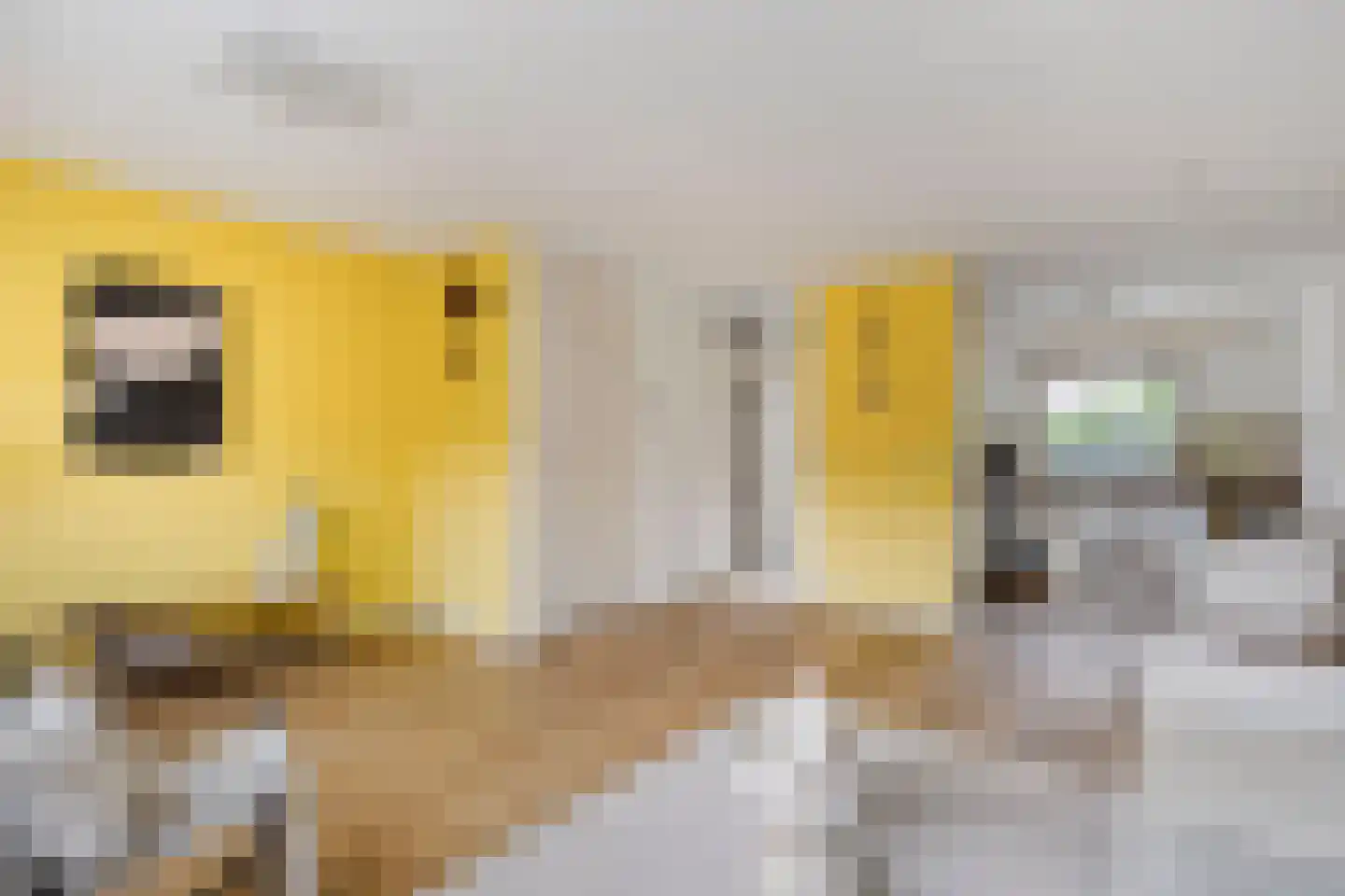 Croocklaan 3 Maarssen thumbnail 9