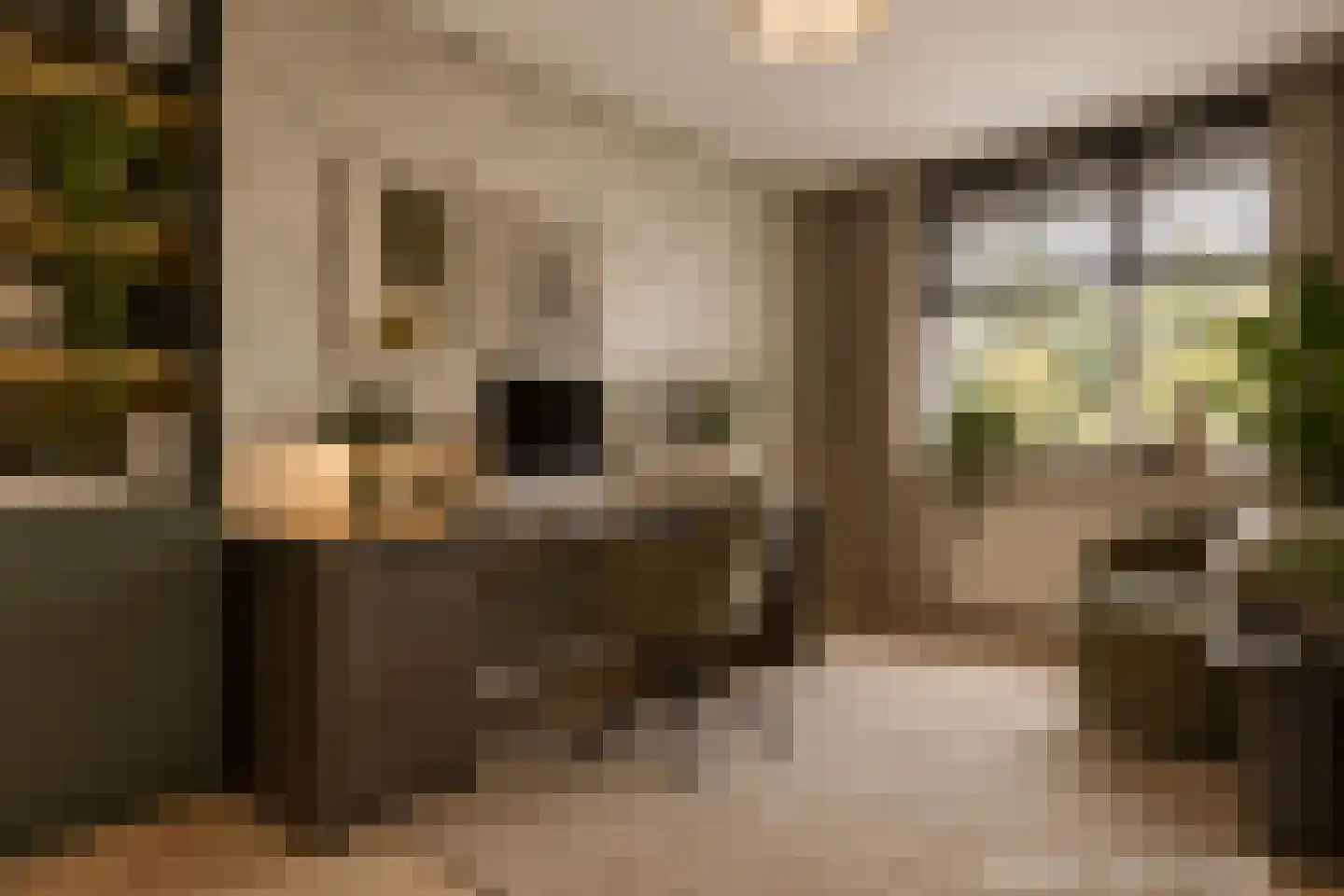 Croocklaan 5 Maarssen thumbnail 21
