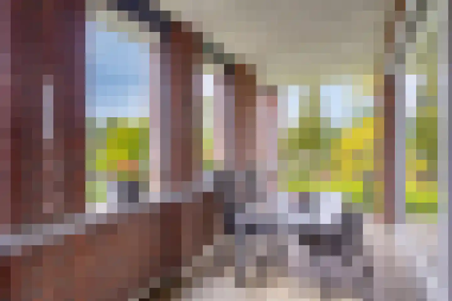 Croonpassage 22 Boxtel thumbnail 18