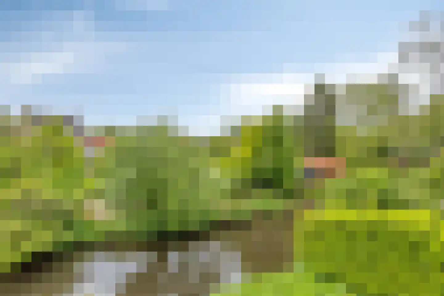 Croonpassage 22 Boxtel thumbnail 21