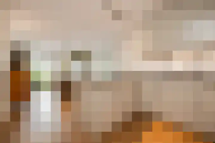 Croonpassage 27 Boxtel thumbnail 24