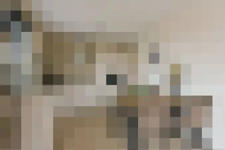 Croonstadtlaan 107 Mijdrecht thumbnail 8
