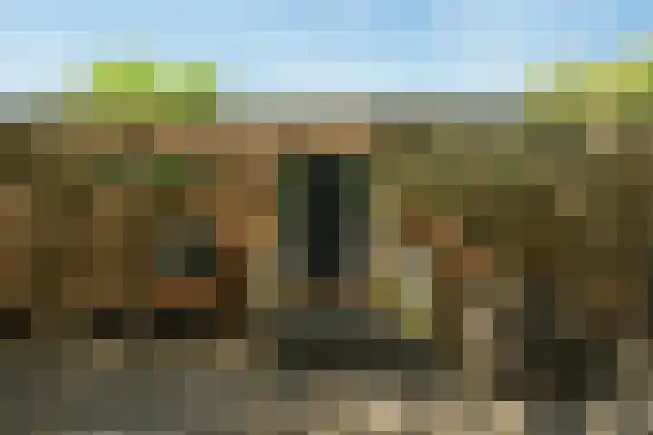 Crooswijksebocht 72 Rotterdam thumbnail 6