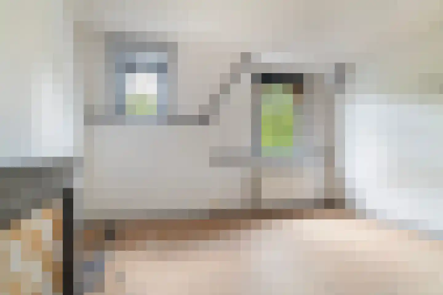 Crooswijksesingel 25 B Rotterdam thumbnail 41