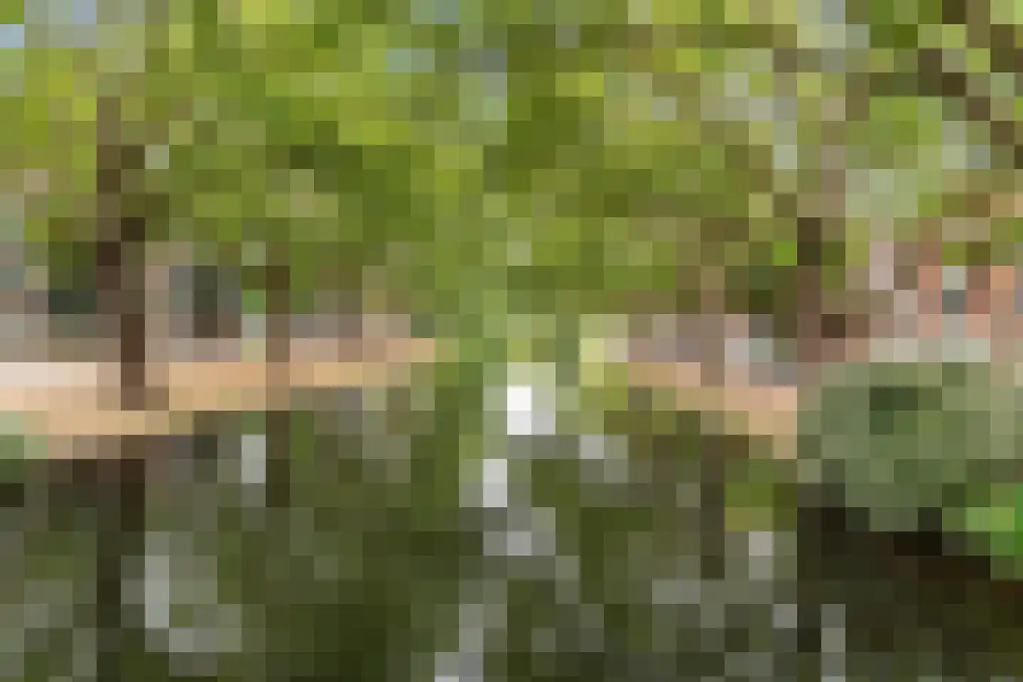 Crooswijksesingel 25 B Rotterdam thumbnail 47