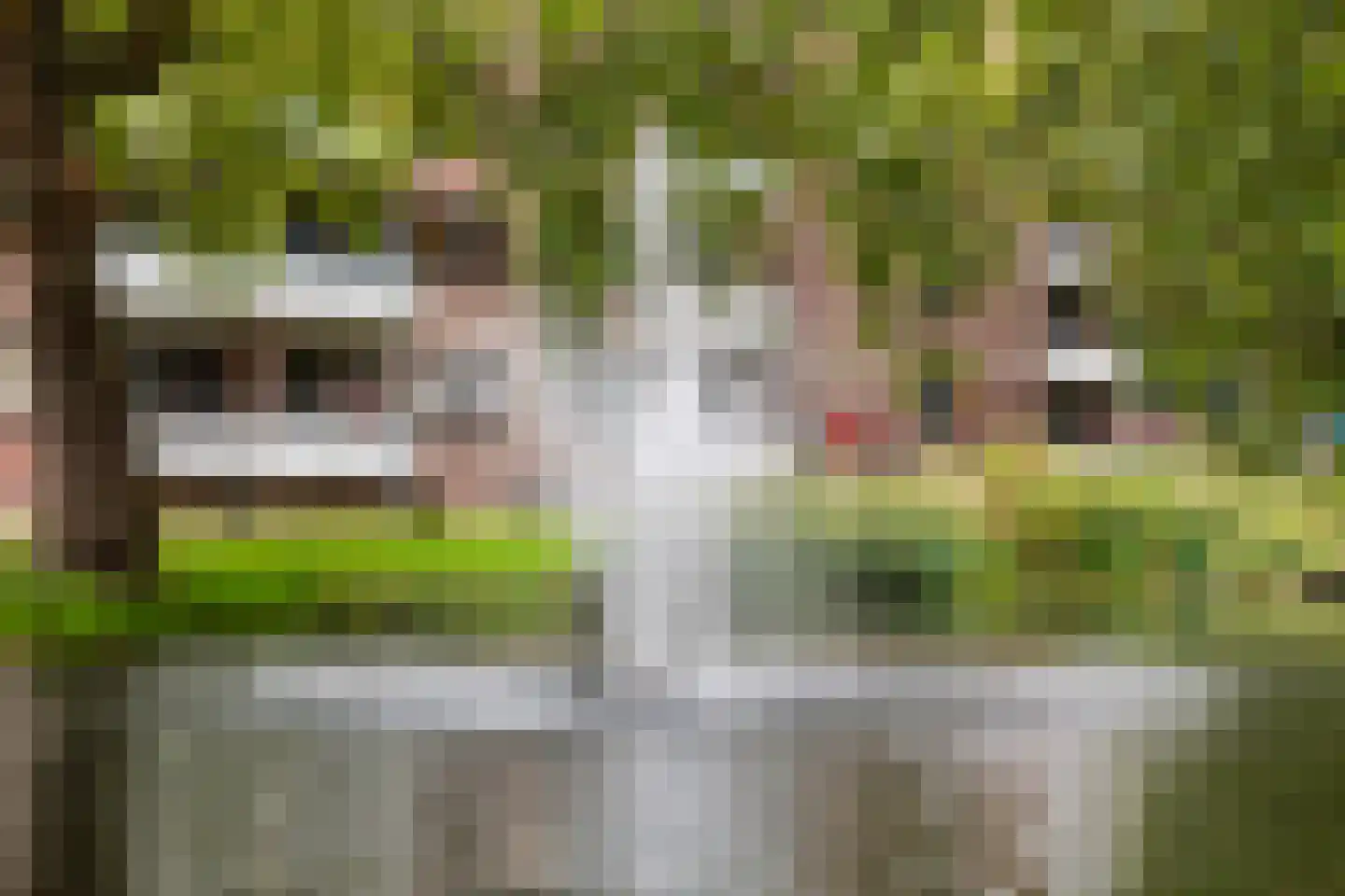 Crooswijksesingel 25 B Rotterdam thumbnail 50