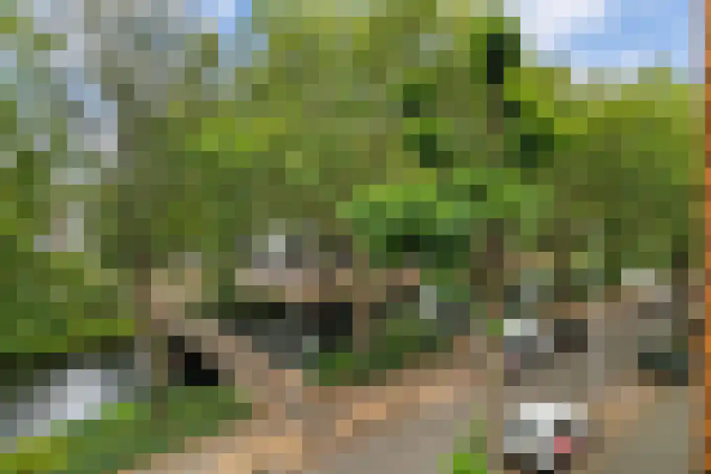 Crooswijksesingel 25 B Rotterdam thumbnail 8