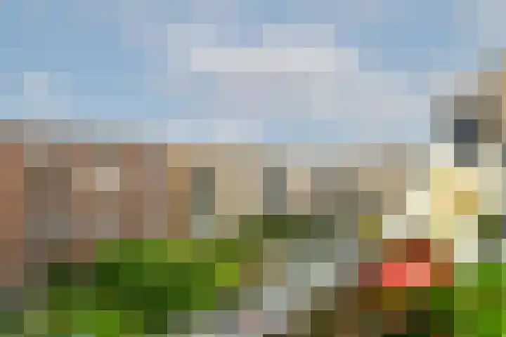 Crooswijksestraat 104 Rotterdam thumbnail 4