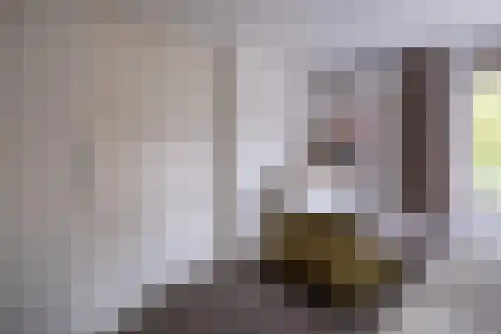Crosestein 1503 Zeist thumbnail 27