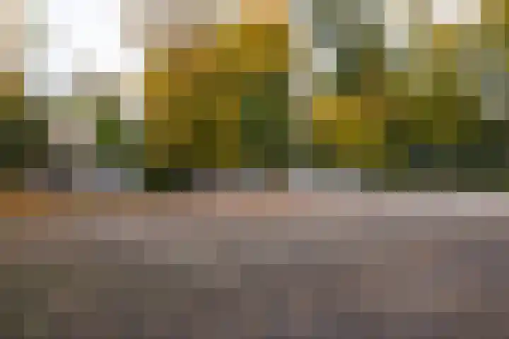 Crosestein 1503 Zeist thumbnail 37