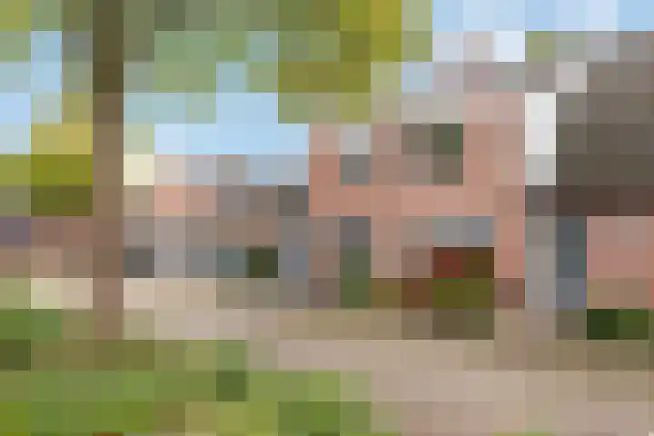 Crosestein 1503 Zeist thumbnail 40
