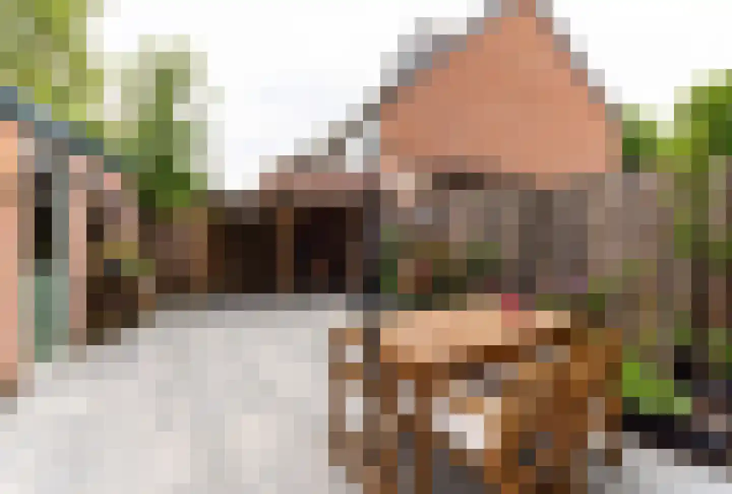 Crosestein 1504 Zeist thumbnail 10